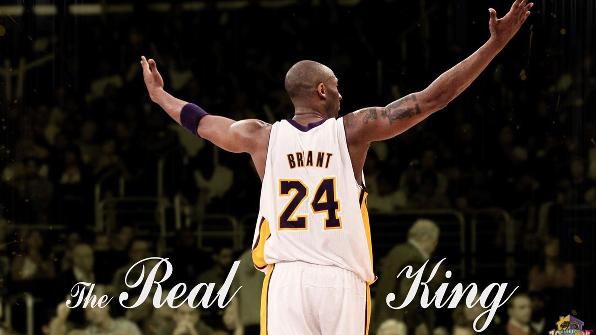 精湛技艺看得见！劲旅对抗看得透，劲旅公司可靠吗_